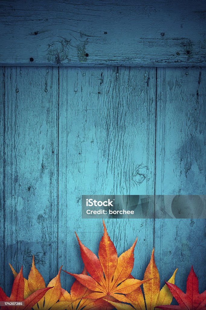 Herbst Hintergrund - Lizenzfrei Ahornblatt Stock-Foto