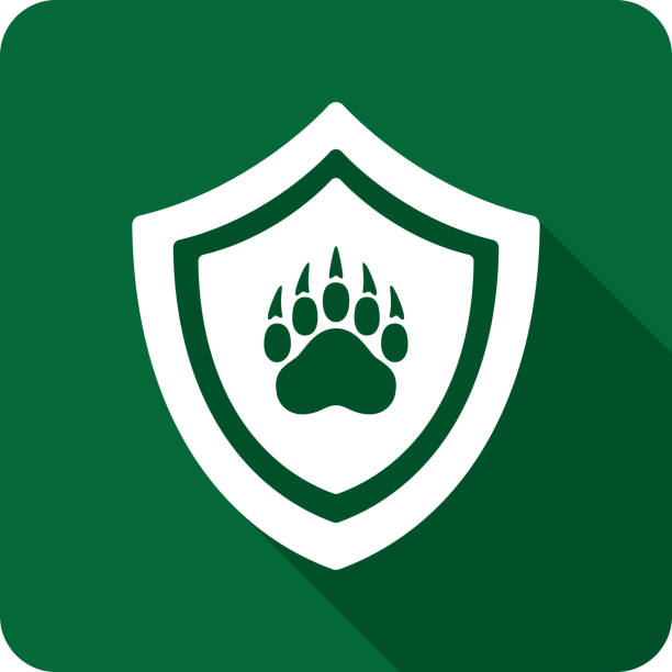 ilustrações de stock, clip art, desenhos animados e ícones de shield bear paw print icon silhouette - paw print paw shield vector