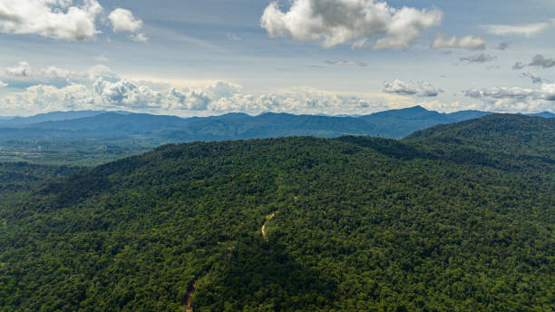 istock Tropical landscape with mountains and jungle. Borneo, Malaysia. 1742090331
