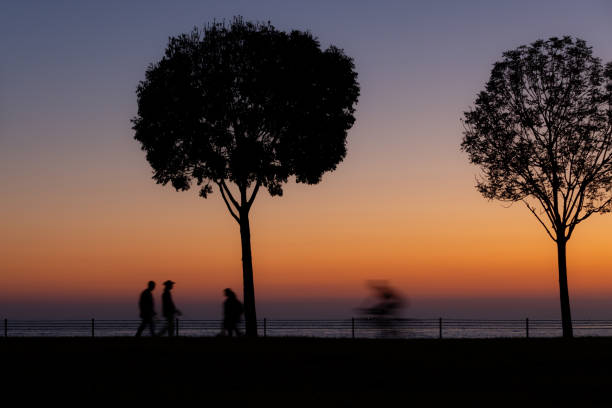 Silhouettes of people and tree on coastline at sunset.Location : Istabul - Turkey.