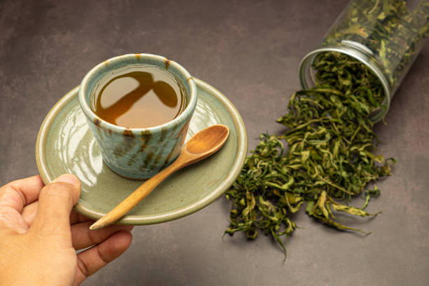istock Hand holding a marijuana tea cup and dry cannabis leaf tea outside a box on a table 1742150093