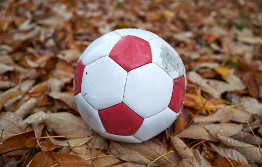 soccer ball on red leaves during foliage