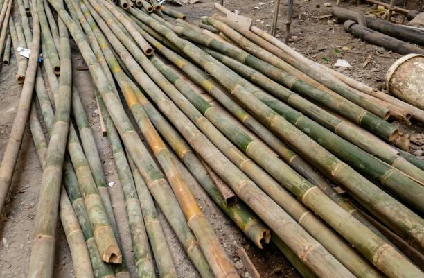 istock A pile of stone bamboo that has been cleaned and ready to use 1742159316