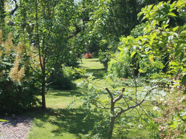 istock Old Garden/Zen-like. 1742168996