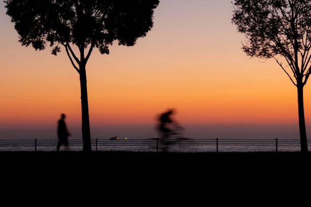 Silhouettes of people and tree on coastline at sunset.Location : Istabul - Turkey.