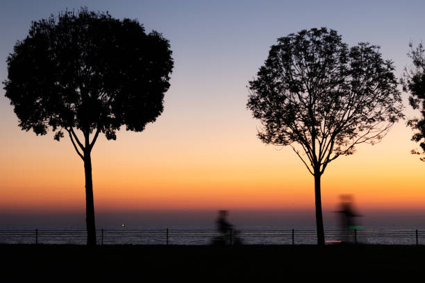 Silhouettes of people and tree on coastline at sunset.Location : Istabul - Turkey.