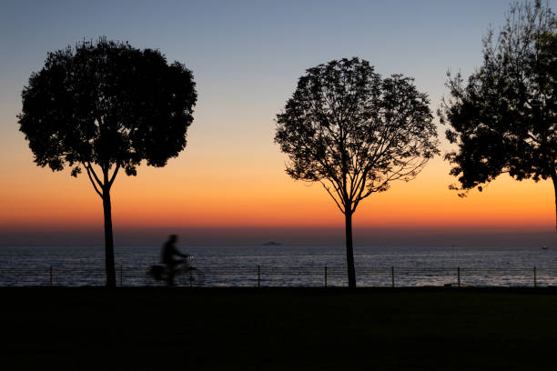 Silhouettes of people and tree on coastline at sunset.Location : Istabul - Turkey.