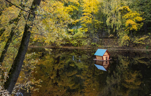 istock Fallen maple leaf and autumn foliage on a wooden path and pond 1742177156