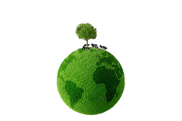 istock Cow standing on green earth 174221538
