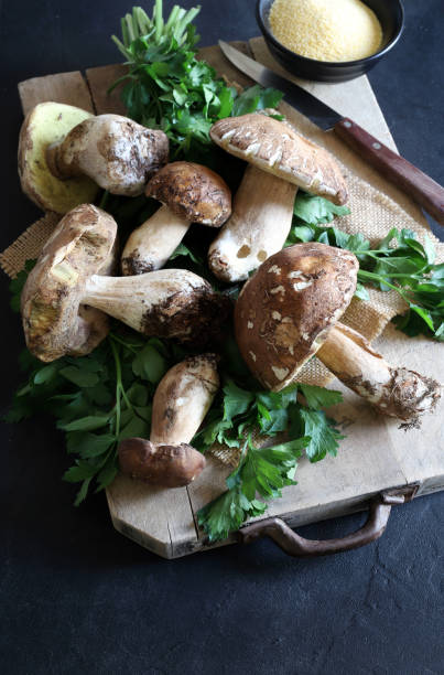 istock Organic porcini mushrooms. 1742215717