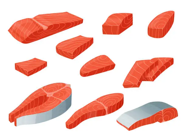 Vector illustration of Red fish salmon pieces fillet meat and steak bones set isometric vector illustration