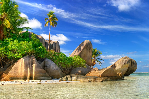 istock tropical paradise - Seychelles islands 174225947