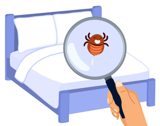 Bed Bugs Infestation Problem Illustration vector art illustration