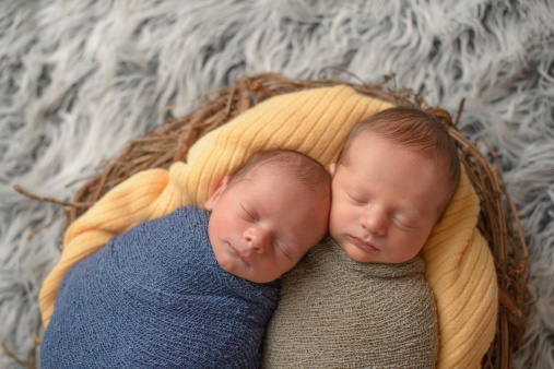 Close up of newborn twins sleeping in a nest.