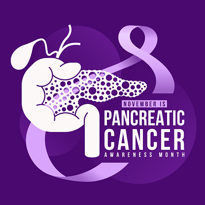 November Pancreatic Cancer Awareness Month - text and white pancreatic sign with purple pancreatic cancer awareness ribbon roll around on dark purple background vector design