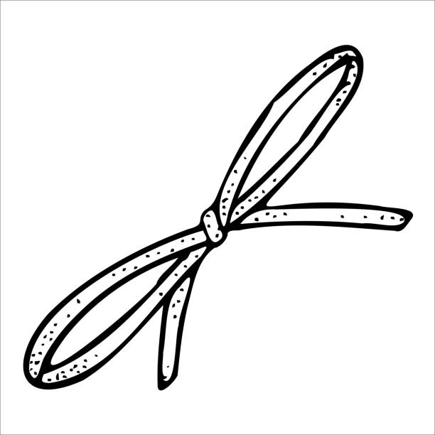 ilustrações de stock, clip art, desenhos animados e ícones de vector drawing of a bow to decorate and add beauty to a gift box or greeting card and packaging. graphic illustration. - gift box packaging drawing illustration and painting