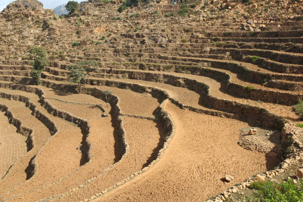istock Wadi Sara in mountains, Yemen 1742317181