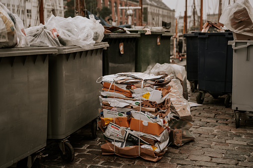 Turning Trash into Treasure: Denmark's Eco-Friendly Waste Management
