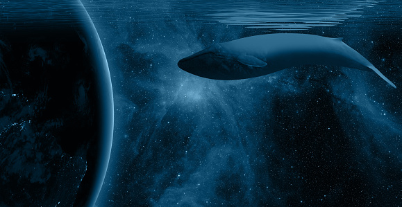 Earth              :  https://earthobservatory.nasa.gov/ContentFeature/NightLights/images/media/BlackMarble_2016_Americas_composite.png\n\nStars               : https://esahubble.org/images/heic0910t/\n\n\n\nWorld oceans day concept with whale - Planet earth underwater with a beautiful outher space  \