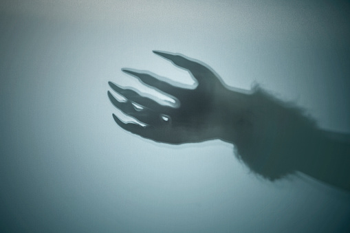 Shadow of werewolf hand on a colored background. Scary Wolf Halloween concept