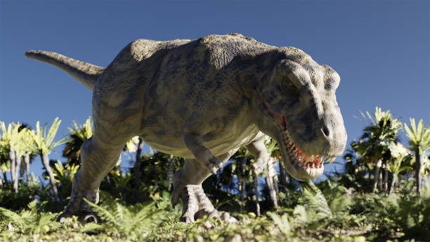 istock tyrannosaurus 01 1742342028
