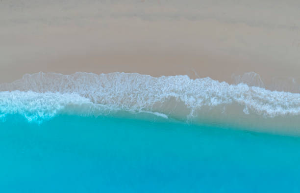 istock Beach Wave water in the Tropical summer beach with  sandy beach background 1742342042