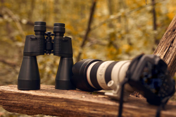 istock Binoculars and camera for birdwatching and other observing animals in nature. 1742348710