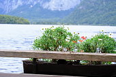 Scenic picture-postcard view of famous Hallstatt mountain village in the Austrian Alps at beautiful light in summer, Salzkammergut region