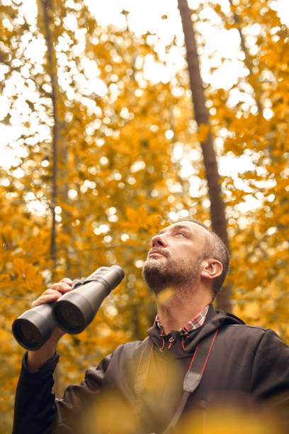 istock Man using binoculars for birdwatching and other observing animals in nature. 1742356099