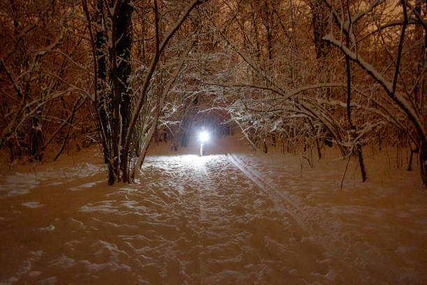 istock Cyclist at night in the winter in the forest. 1742368712