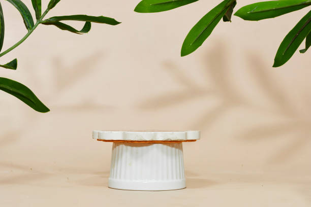 Empty stone platform podium with green ruscus plants on beige background. Minimal empty display product presentation scene