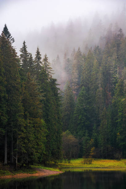 istock mountain lake among forest in autumn 1742385443