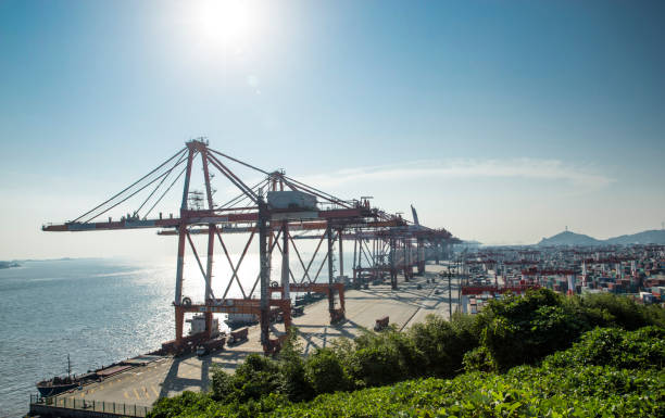 Busy Scene at Songyu Harbor, Xiamen, Fujian