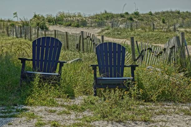 istock two dark blue chairs sit in a field by some grass 1742417305