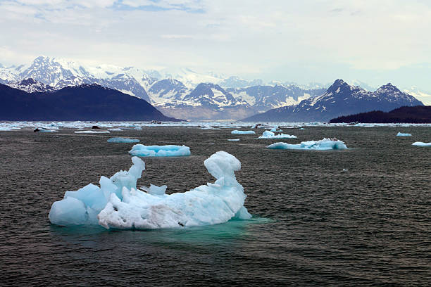 istock icebergs in the sea 174242883