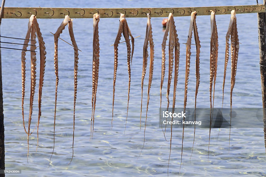 Polvo Tentáculo secagem sob o sol na Grécia - Royalty-free Alimentação Saudável Foto de stock