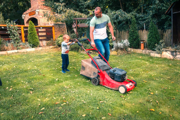 istock the children are playing in the yard while dad is mowing the grass 1742432007