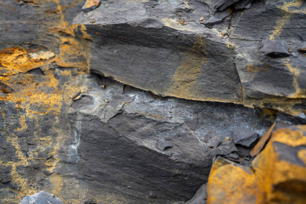 Cliffs at Runswick Bay, a landscape known for its natural beauty and as a fossil hunting site.