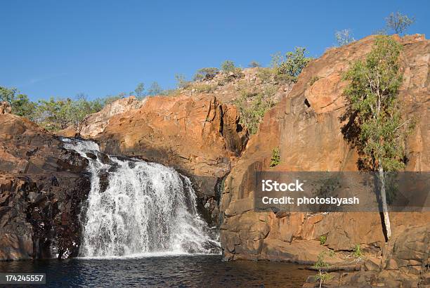 Cataratas De Upper Cascata Em Edith - Fotografias de stock e mais imagens de Cair - Cair, Ao Ar Livre, Austrália