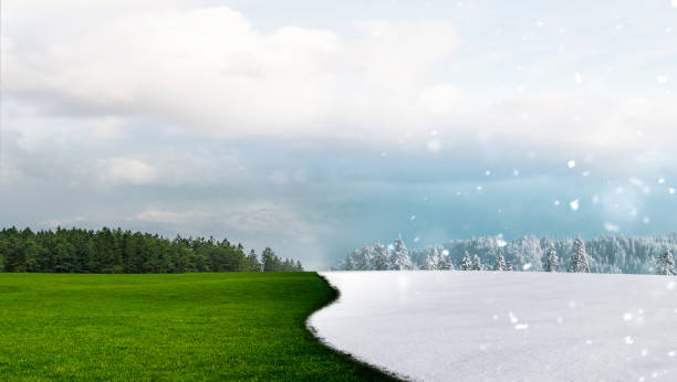 istock Season change from summer to winter 1742461023