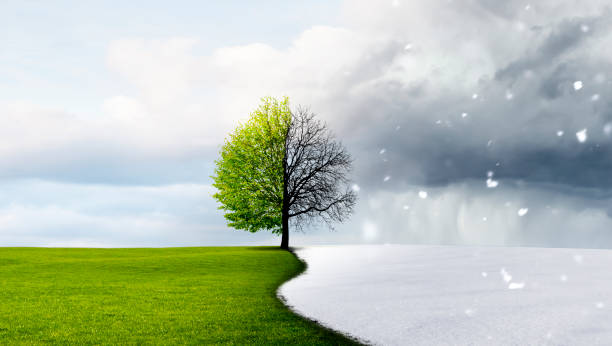 istock Season change from summer to winter 1742461195