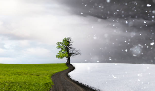 istock Season change from summer to winter 1742461554