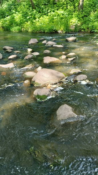 Summer natural river landscape. stock photo