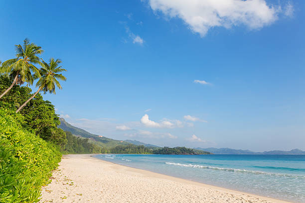 istock Grand' Anse  beach on Mahe island, Seychelles 174248991