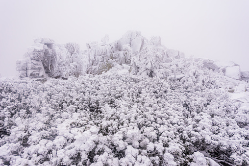 Frozen rock formation called Muzske Kameny in the Krkonose NP in winter.