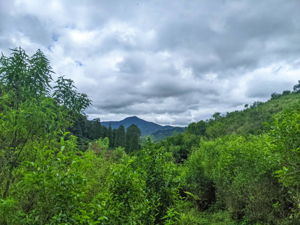 istock The hill with mountain views 1742527720