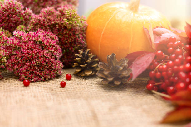 istock Orange pumpkin on a wooden table with flowers, red berries. 1742538444