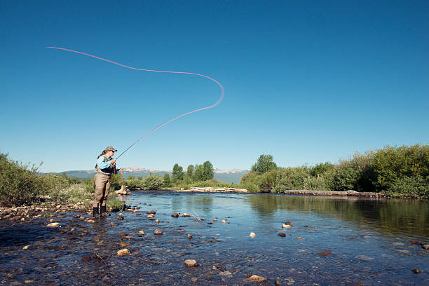 donna pesca pescatore all'aperto in blu montana fiume - montana summer usa color image foto e immagini stock
