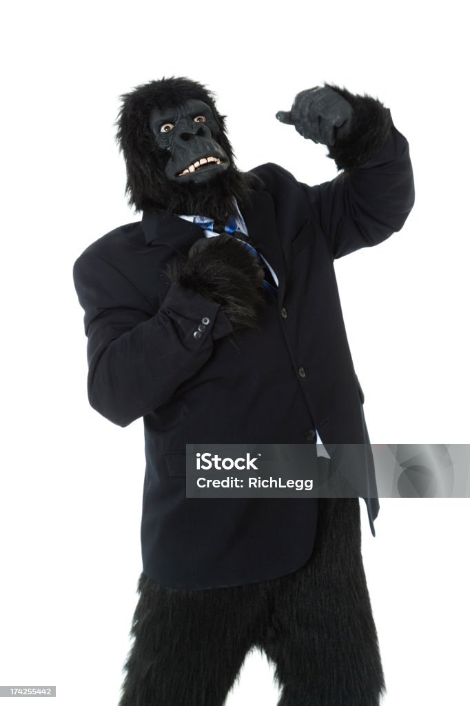 Gorilla Businessman A gorilla in a suit beating his hands on his chest. Animal Stock Photo