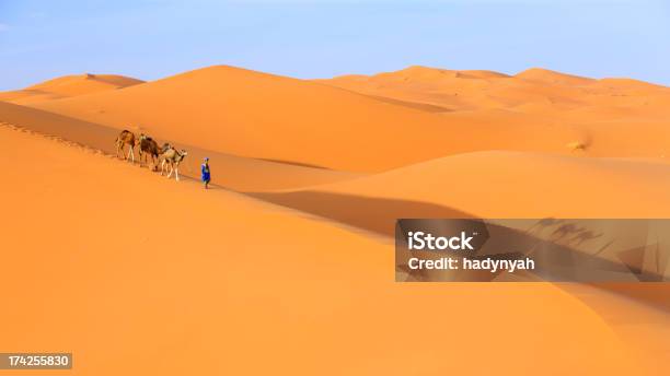 Giovane Tuareg Con Il Cammello Nel Deserto Del Sahara Occidentale Dellafrica - Fotografie stock e altre immagini di Marocco